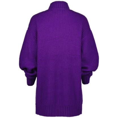 Raizzed X Moise Sophie Dress purple